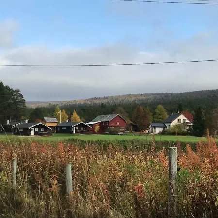 Roste Hyttetun Og Camping