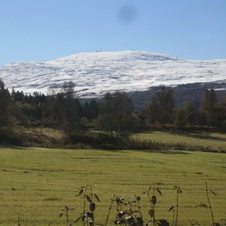 Roste Hyttetun Og Os (Hedmark)