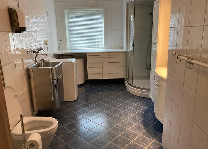 Roste Hyttetun Og Os (Hedmark)