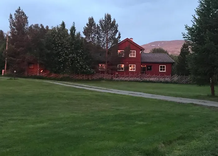 Roste Hyttetun Og Campingplasser