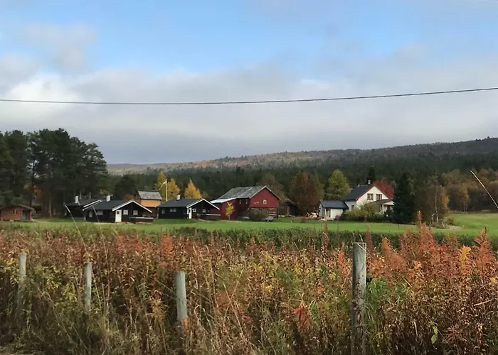 Roste Hyttetun Og 캠프장