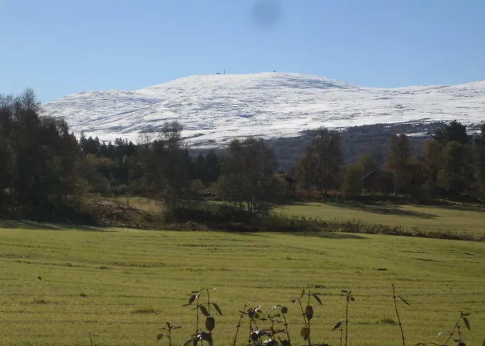 Roste Hyttetun Og Os (Hedmark)