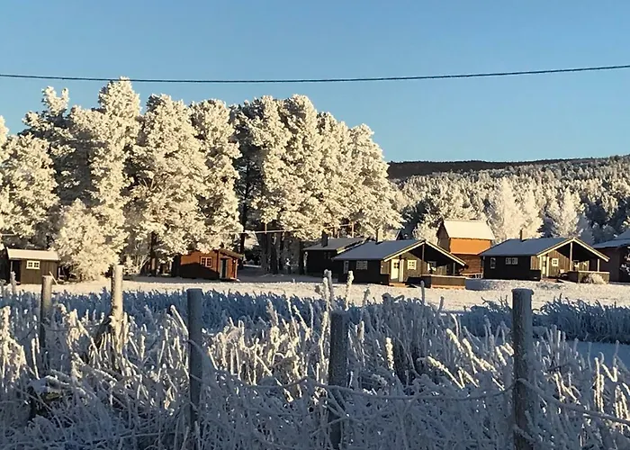 Roste Hyttetun Og Campingplasser